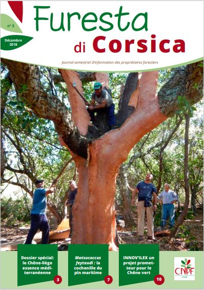 Couverture de Furesta di Corsica N°3 - Décembre 2018