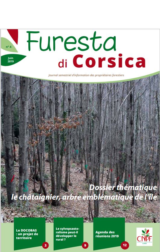 Furesta di Corsica n°4