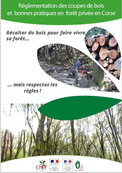 Réglementation des coupes de bois en forêt privée
