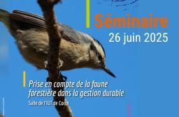 Prise en compte de la faune forestière dans la gestion durable