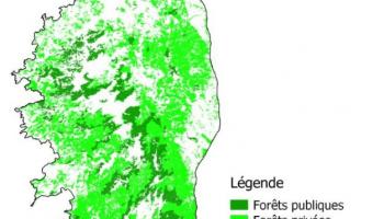 Répartition des forêts publiques et privées 