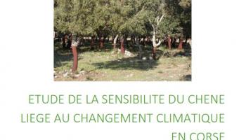 Etude de la sensibilité du chêne-liège face au changement climatique