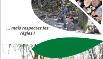 Réglementation des coupes de bois en forêt privée