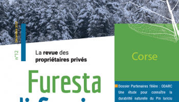 Couverture Furesta di Corsica n°12 - Décembre 2023