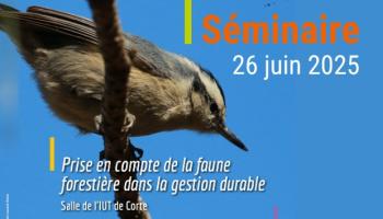 Prise en compte de la faune forestière dans la gestion durable