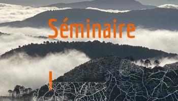 Séminaire foncier 2026