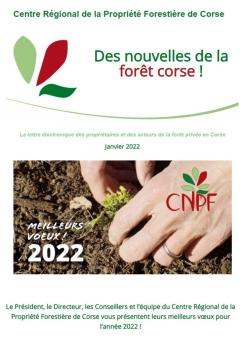 Newsletter 1