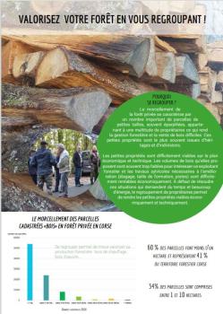 Valorisez votre forêt en vous regroupant