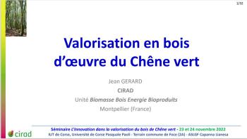 Valorisation en bois d'oeuvre du chêne vert - CIRAD - Jean GERARD