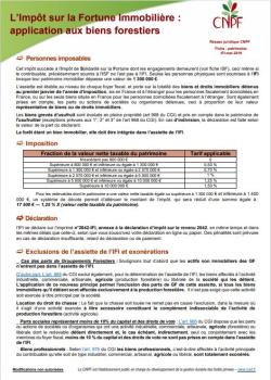 Fiche : patrimoine IFI 