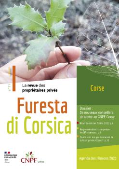 Furesta di Corsica n°11