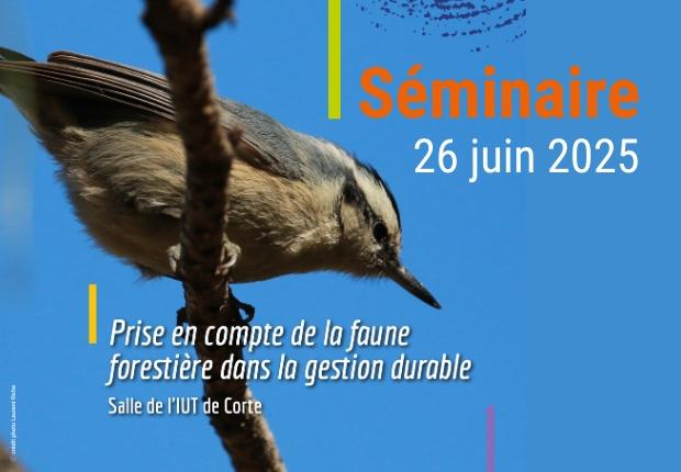 Prise en compte de la faune forestière dans la gestion durable