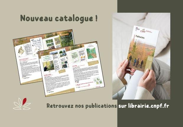 Catalogue des publications Hiver 2026