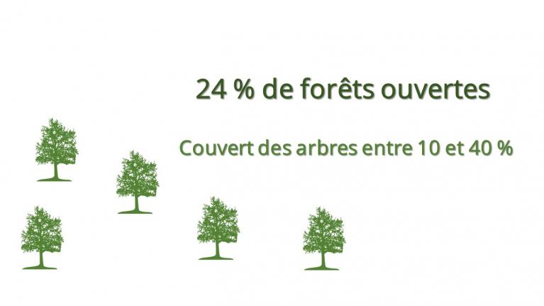 24 % de forêts ouvertes en Corse