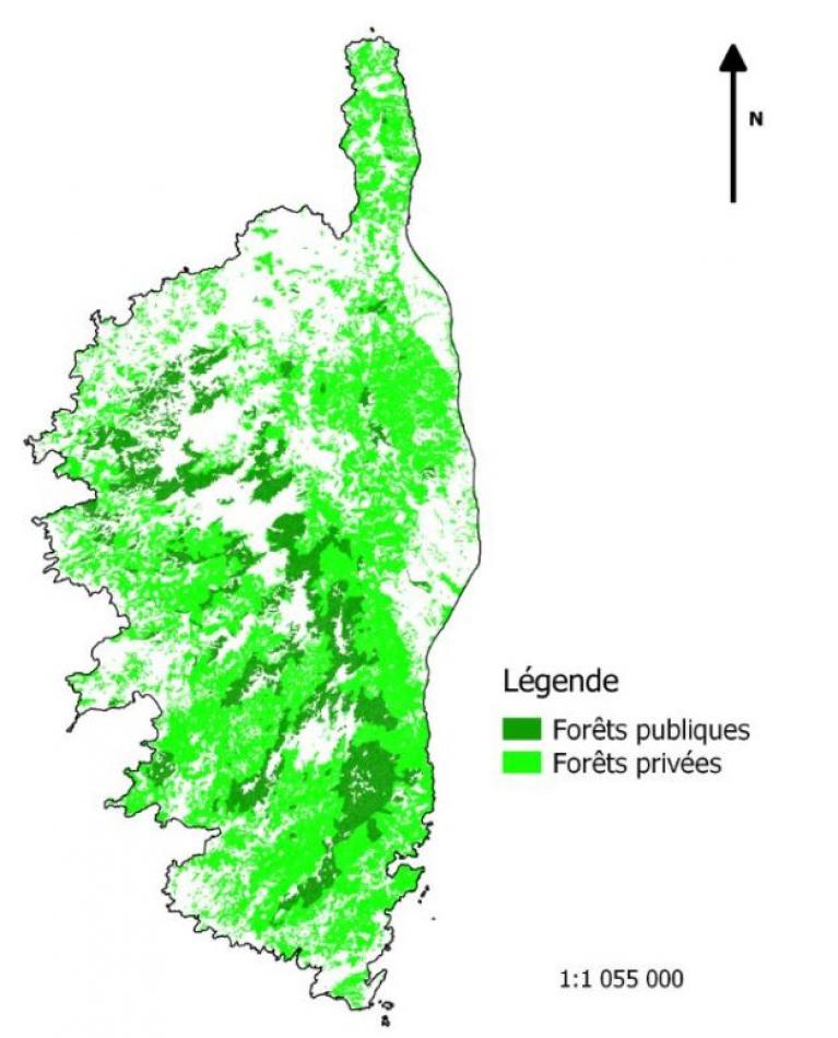 Répartition des forêts publiques et privées 