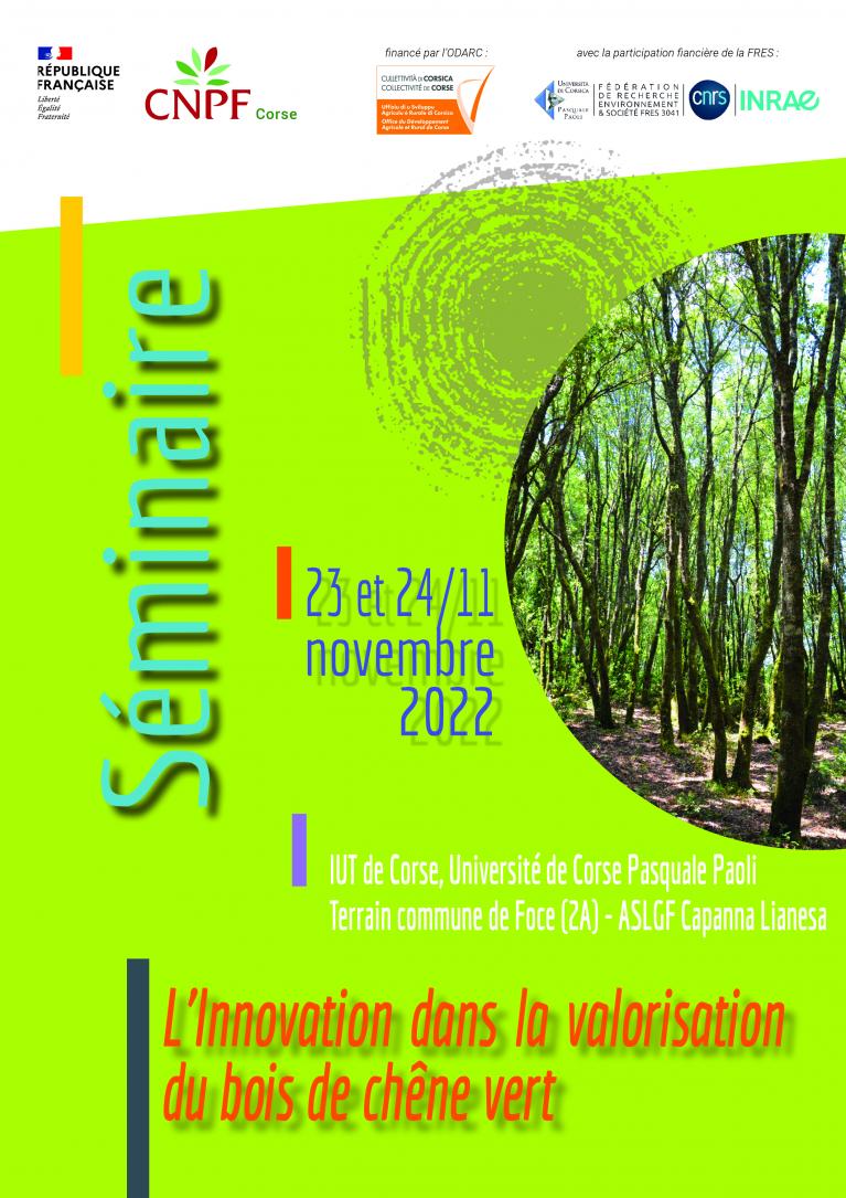 Affiche séminaire