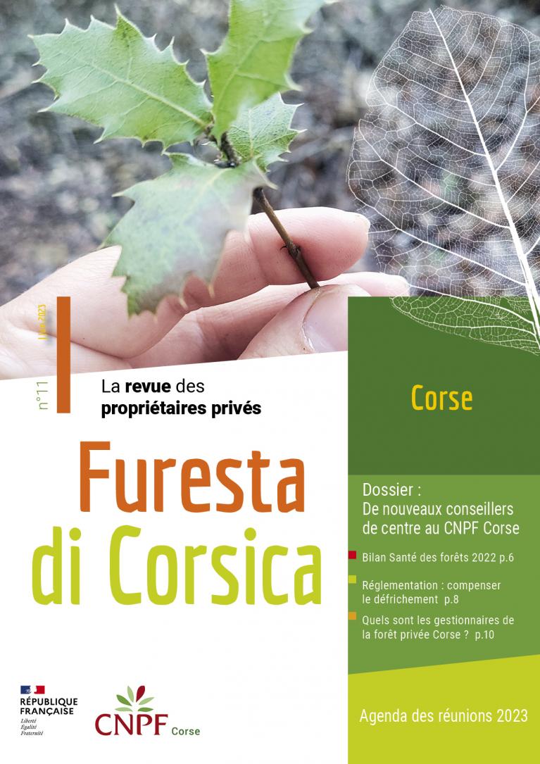 Furesta di Corsica n°11