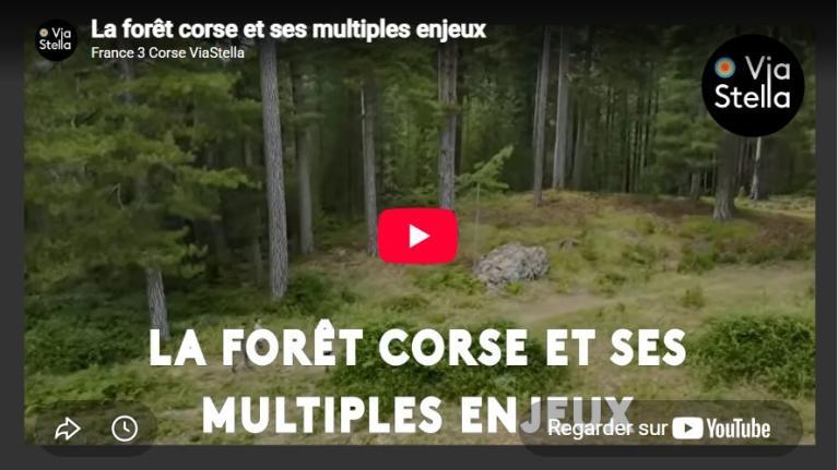 TEMA. La forêt corse au cœur de multiples enjeux