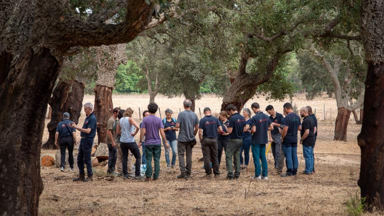 Tournée 2026 des correspondants BioClimSol du CNPF dans une suberaie corse